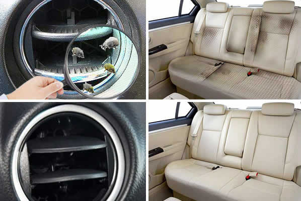 Comparaison avant et après le lavage du véhicule à l’aide d’un lave – vapeur goclean Comparaison avant et après le lavage du véhicule à l'aide d'un lave - vapeur goclean